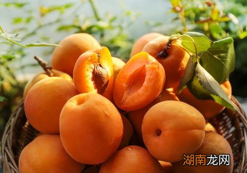 秋天吃啥好可以润肺 秋天吃什么水果可以润肺