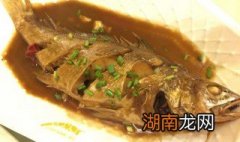 红烧黄姑鱼的做法 家常烧黄姑鱼的做法