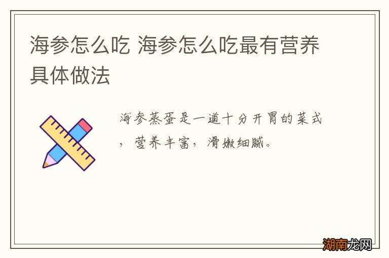 海参怎么吃 海参怎么吃最有营养具体做法