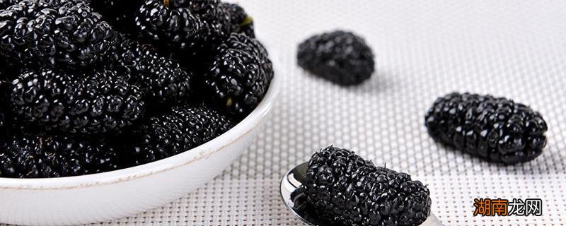 女人喝桑葚酒有什么好处 女人常喝桑葚酒好吗