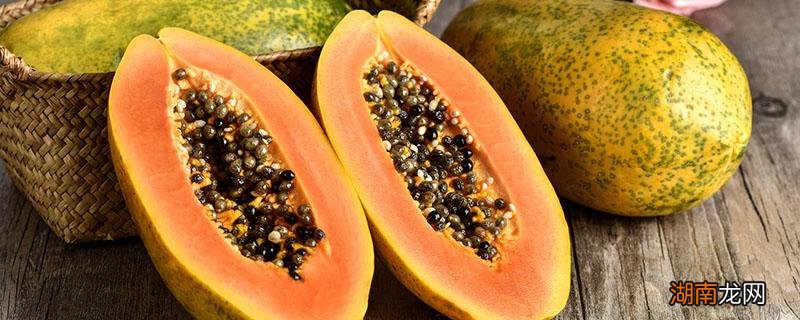 木瓜配什么一起吃可以胸大? 木瓜配什么一起吃可以胸大