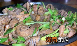 羊肚怎么煮好吃又烂 羊肚怎么煮好吃