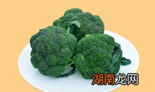 西蓝花凉拌怎么做 西蓝花凉拌怎么做才好吃