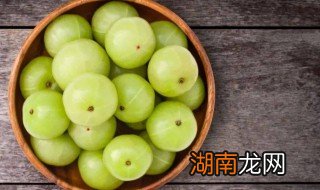 油柑子是橄榄吗 油柑子是橄榄吗怎么吃