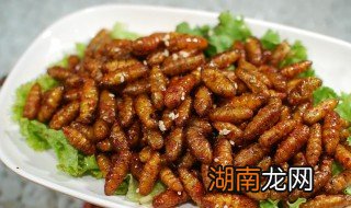 炸蚕蛹的做法 炸蚕蛹的家常做法