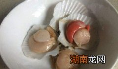 扇贝肉怎么清洗内脏图解 扇贝肉怎么清洗