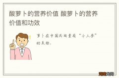 酸萝卜的营养价值 酸萝卜的营养价值和功效