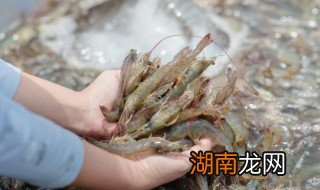 老虎虾怎么做好吃又简单 老虎虾的家常做法