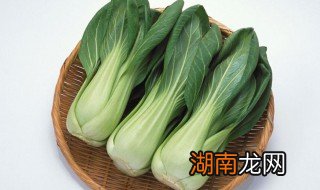 上海青是什么菜图片 上海青是什么