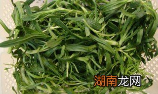 面条菜是什么菜呀 面条菜是什么菜
