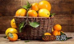 鲜橙炖蛋的做法大全 鲜橙炖蛋的做法