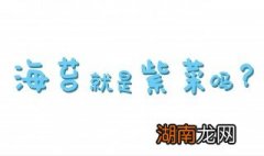 海苔由哪种海藻制作而成 海苔由哪种海藻制成的