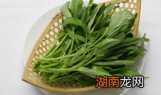 空心菜可以煮汤吗 空心菜可以煮汤吗怎么煮