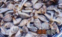 烤箱里怎么做好吃的花蛤