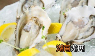 处理生蚝刺身的方法 处理生蚝刺身的方法是什么