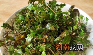 荠菜老了还有功效吗 荠菜老了怎么吃