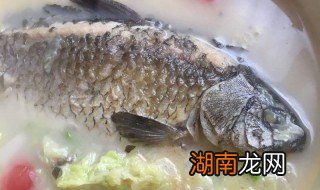 鲫鱼蛋包汤做法窍门 鲫鱼蛋包汤做法窍门图片