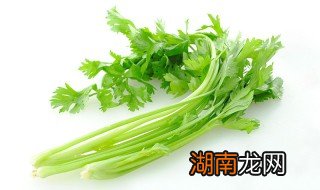 粗纤维蔬菜介绍怎么写 粗纤维蔬菜介绍