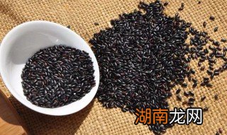 蒸黑糯米饭的做法和配方 怎样蒸黑糯米饭