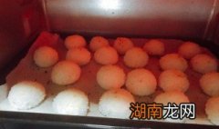 椰蓉芝麻球做法窍门 椰蓉芝麻球做法窍门