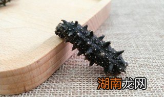 红烧海参怎么做好吃 红烧海参怎么做好吃视频