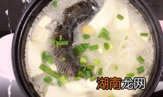黑鱼豆腐汤的做法和步骤 黑鱼豆腐汤的做法