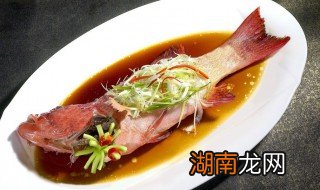 清蒸石斑鱼是什么地方的菜 清蒸石斑鱼是什么地方的菜啊