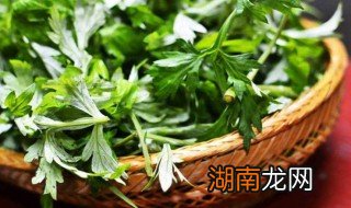 野艾蒿的吃法 野艾蒿的吃法和功效