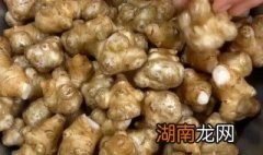 洋姜咸菜的腌制方法大全 洋姜咸菜的腌制方法步骤