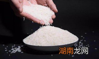 大米里面有黑色虫子怎么办 新买的大米里面有黑色虫子怎么办