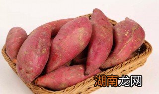 红薯直接放水里煮吗 红薯能减肥是真的吗