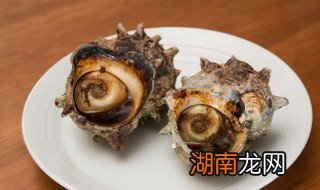 小海螺蒸多长时间能熟 小海螺蒸多久能熟