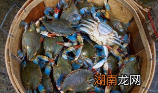 青蟹高压锅蒸多久能熟 青蟹普通蒸锅要蒸多久才能熟