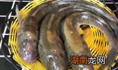 鲶鱼怎么做好吃又简单家常的视频 鲶鱼怎么做好吃