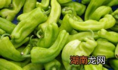 青椒和鸡肉怎么做饺子馅 青椒和鸡肉怎么做