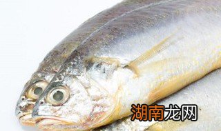 冰冻带鱼取刺法 冰冻带鱼取刺法视频