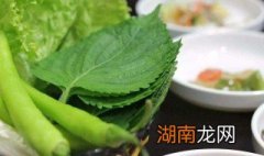 烤肉里的苏子叶怎么吃 苏子叶怎么吃