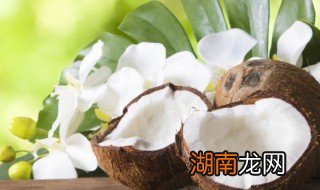 如何制作椰奶 如何制作椰奶冰沙