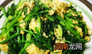 茴香的做法大全家常炒菜 茴香的做法大全