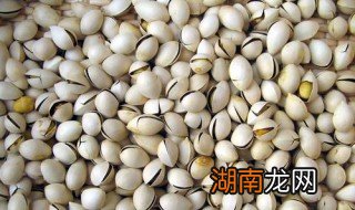 银杏果的食用方法和禁忌 银杏果的食用方法