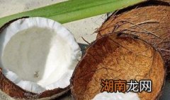 椰子的营养价值及功效 食用方法 椰子的营养价值及功效