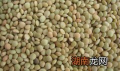 如何烹制小扁豆 怎么做小扁豆