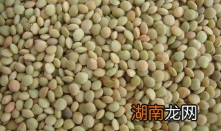 如何烹制小扁豆 怎么做小扁豆