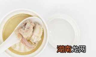 鸽子汤可以放入白胡椒吗 炖鸽子汤放胡椒好不好