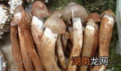 鸡枞菌的经典吃法 鸡枞菌有哪些美味吃法