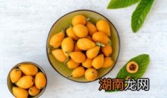 枇杷膏制作方法 蜜炼川贝枇杷膏制作方法