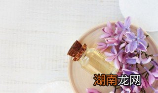 紫草油的最佳制作方法比例 紫草油的最佳制作方法