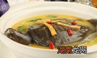 甲鱼怎么煮 甲鱼怎么煮好吃