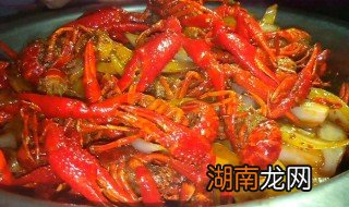 怎样做的小龙虾最好吃又简单 怎样做的小龙虾最好吃