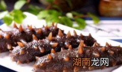 海参其实没什么营养 海参真的那么有营养吗